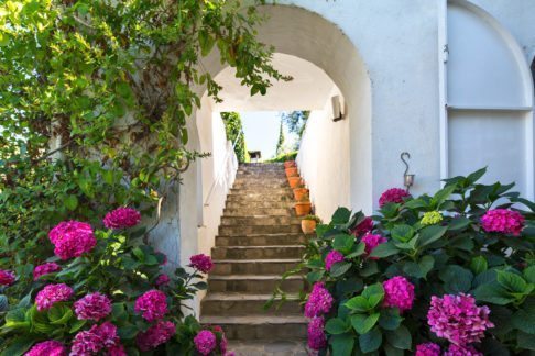 Acceso a la terraza comedor de hoteles con encanto en granada