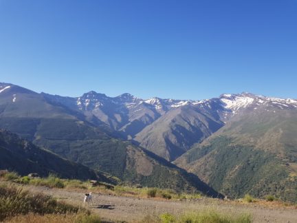 Cumbres en Sierra Nevada