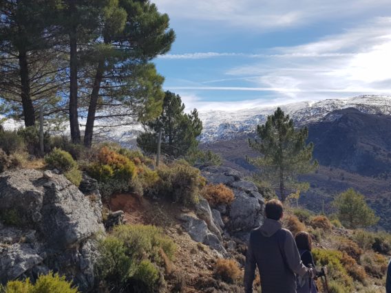 paisaje de montaña