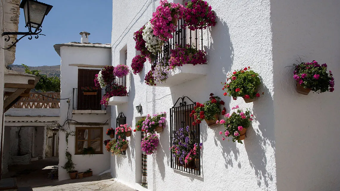 Las Alpujarras Granadinas - Hotel Boutique La Almunia del Valle